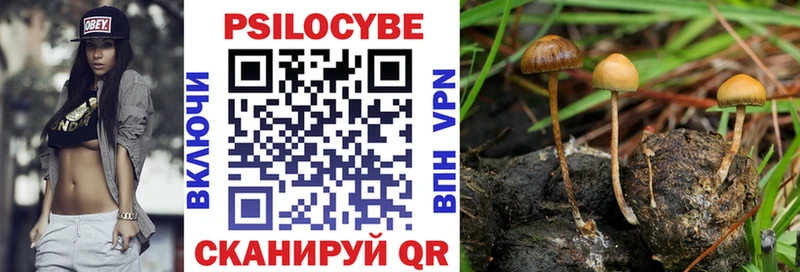 blacksprut сайт  Нелидово  Псилоцибиновые грибы мицелий 